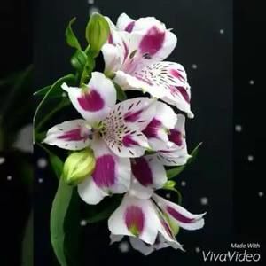 Meet your Posher, Lorena